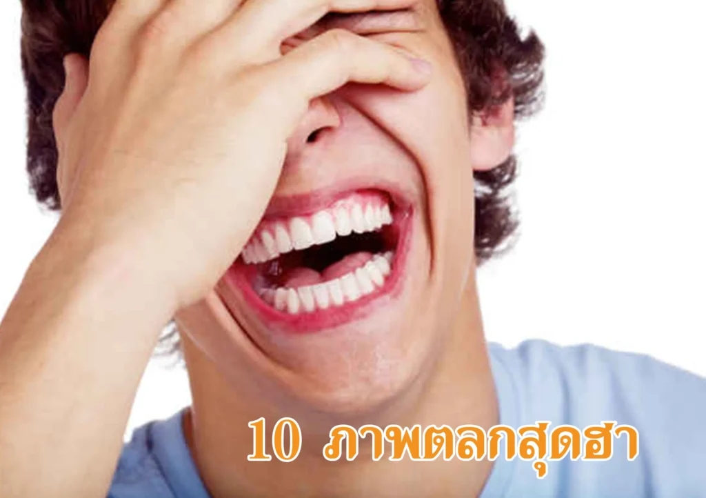 10ภาพตลกสุดฮา